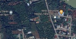Kẹt tiền bán lỗ đất Hoà Thuận – Đạt Lý